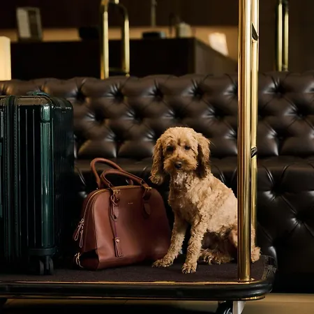 Melter & - A Neighborhood Hotel